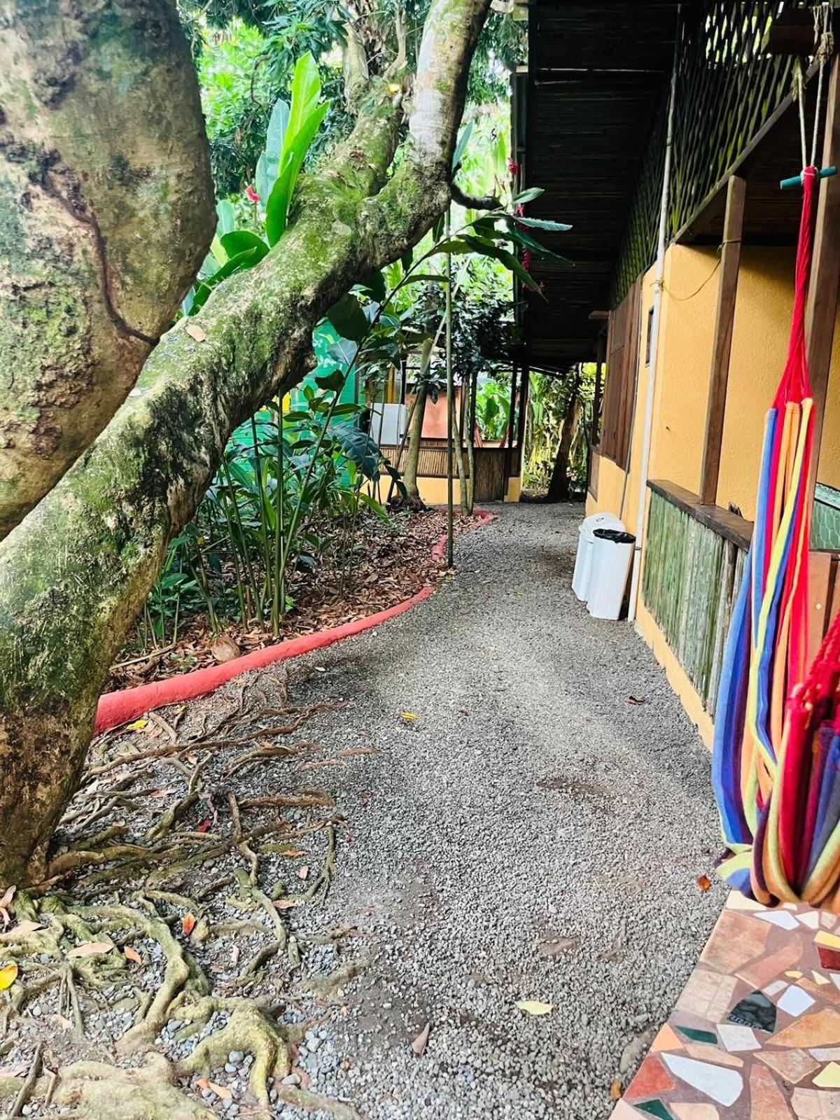 Вилла La Casa De Rolando Puerto Viejo de Talamanca Экстерьер фото